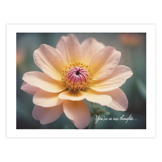 Peach Flower Folded Cards