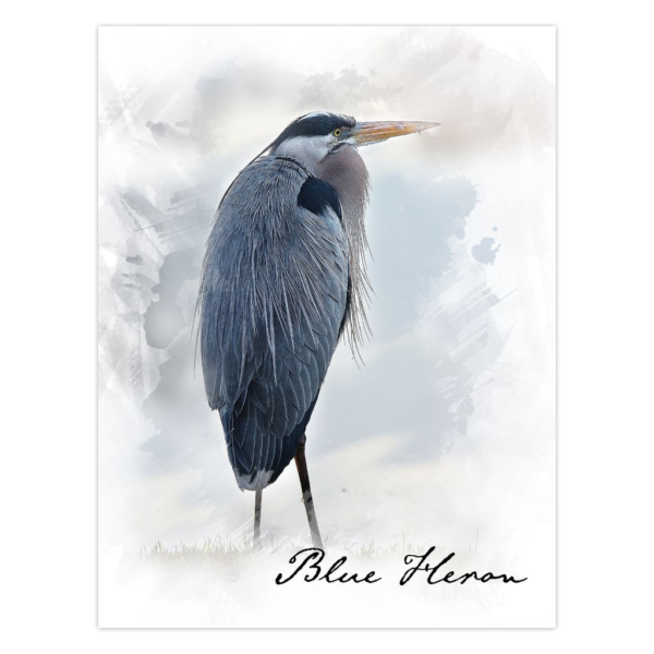 Blue Heron Single Panel Cards