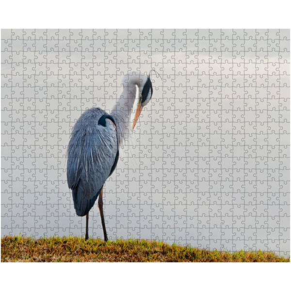 Great Blue Heron Puzzle