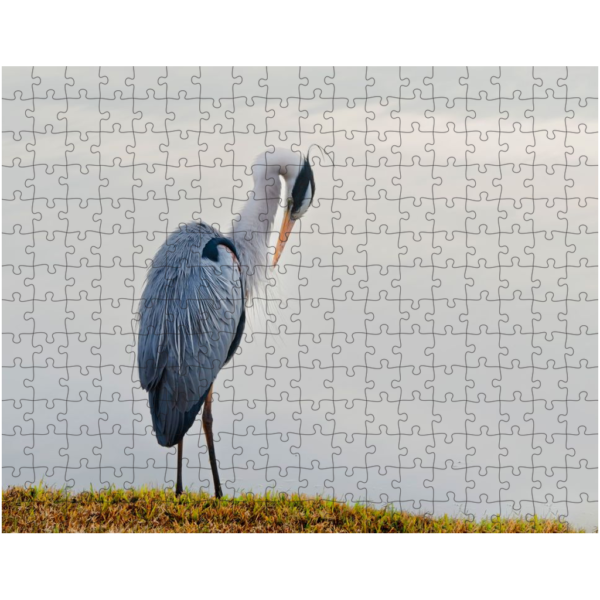 Great Blue Heron Puzzle - Image 2