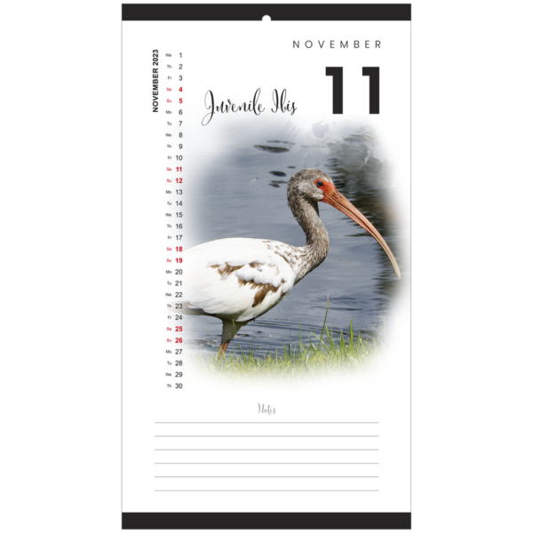 Florida Birds 2023 Calendar - Image 12