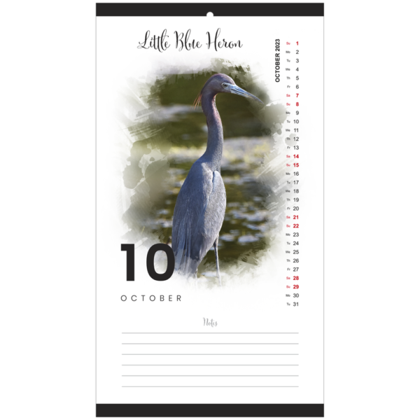 Florida Birds 2023 Calendar - Image 11