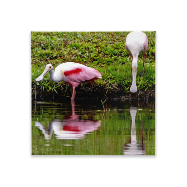 Roseate Spoonbill Canvas Tile