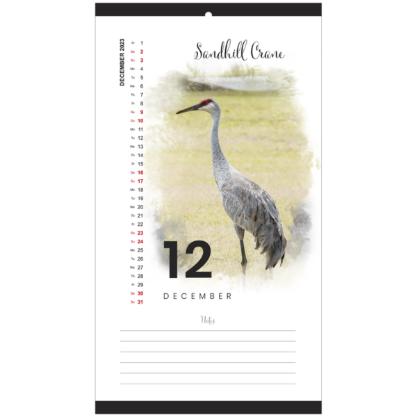 Florida Birds 2023 Calendar - Image 13