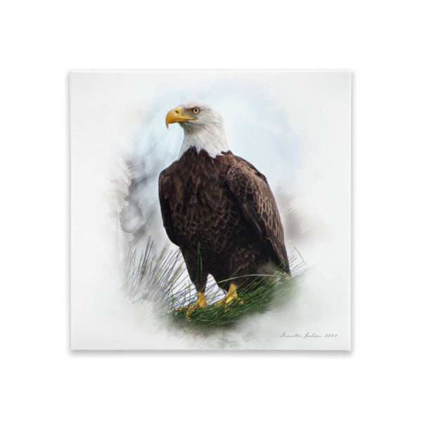 Perched Eagle Canvas Tile