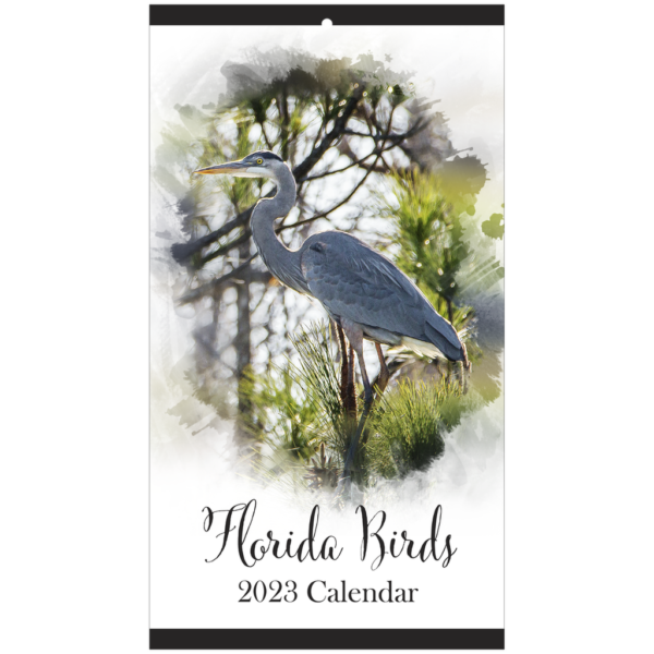 Florida Birds 2023 Calendar