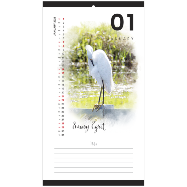 Florida Birds 2023 Calendar - Image 2