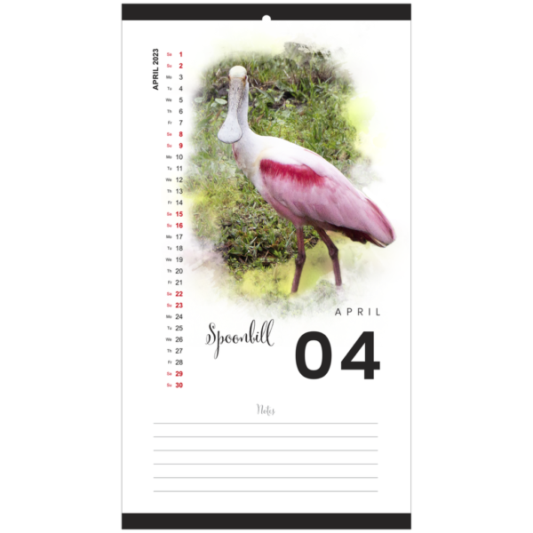 Florida Birds 2023 Calendar - Image 5