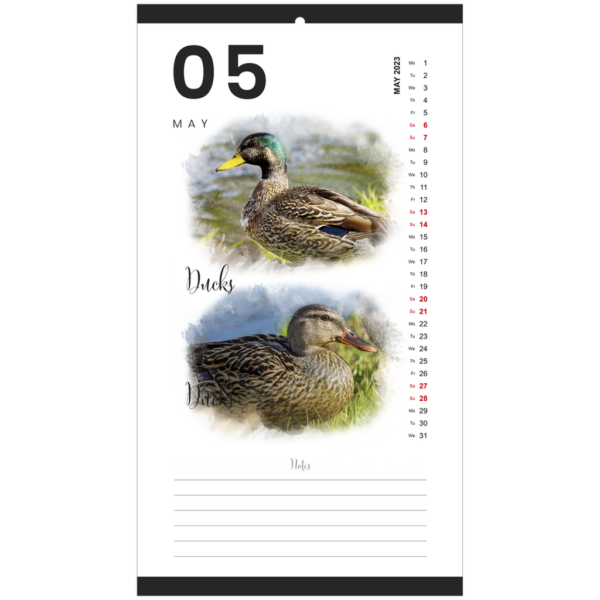 Florida Birds 2023 Calendar - Image 6