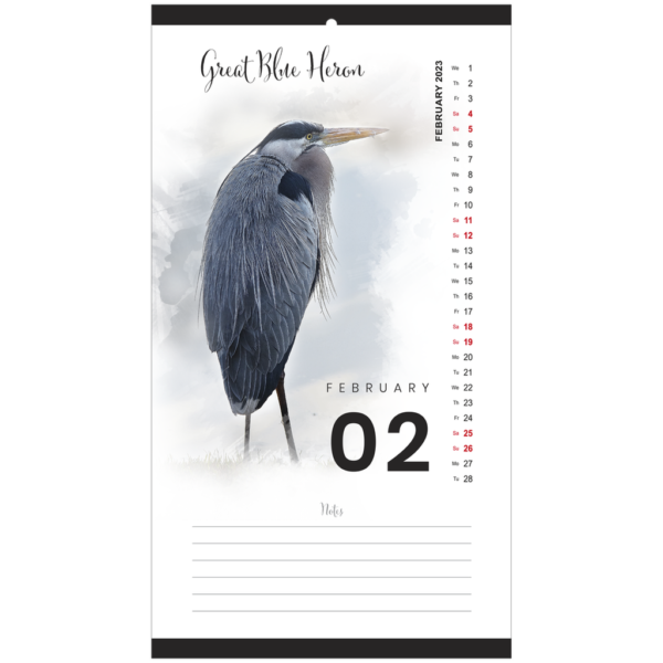 Florida Birds 2023 Calendar - Image 3