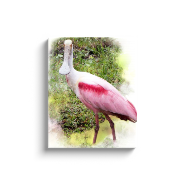 Spoonbill Canvas Wraps - Image 18