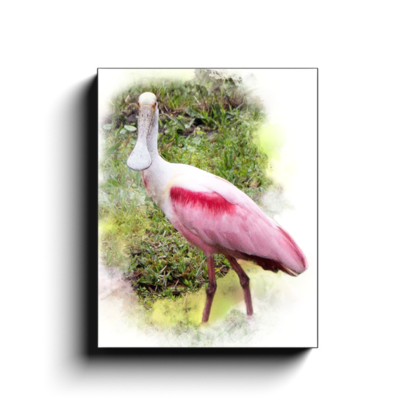 Spoonbill Canvas Wraps - Image 12