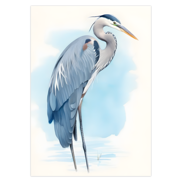 Blue Heron Illustrative Card