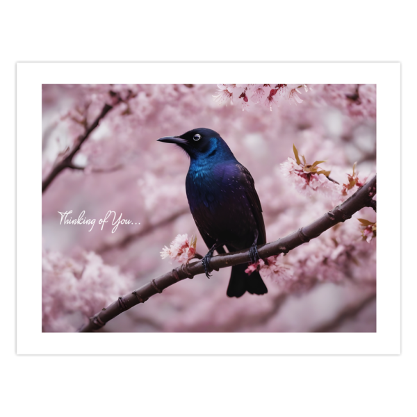 Grackle Card - Thinking Of You