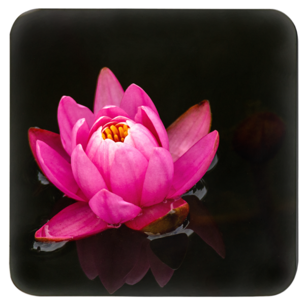 Elegant Lotus Flowers: Set Of 4 Nature-Inspired Coasters Vol 1 - Image 4